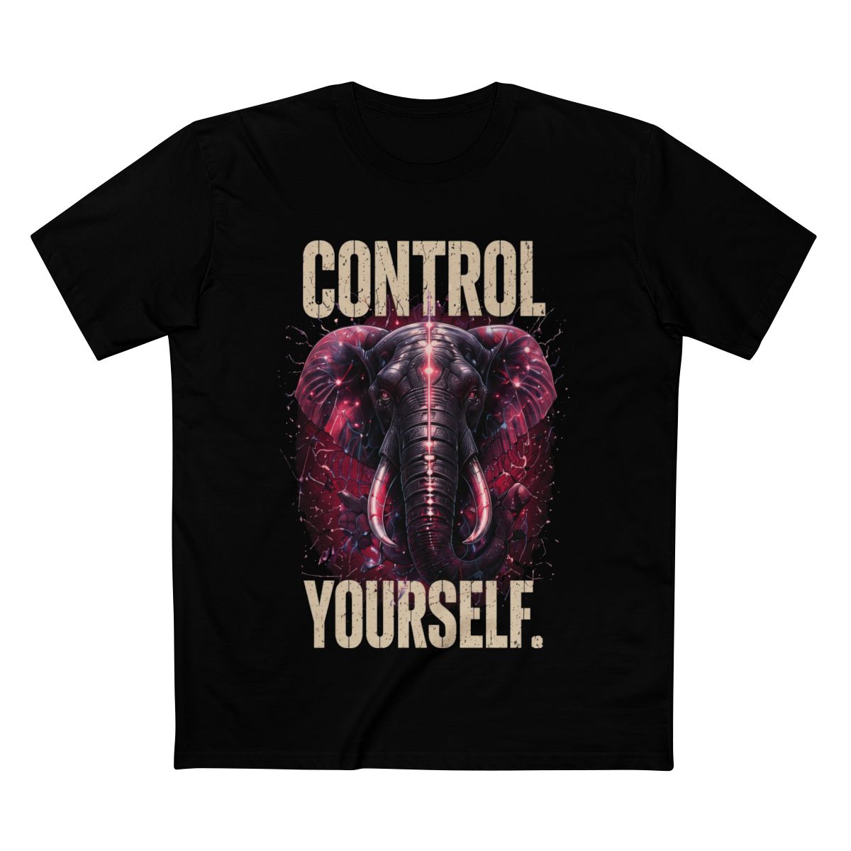 Supplier mockup: Control Yourself, Black tee, front print
