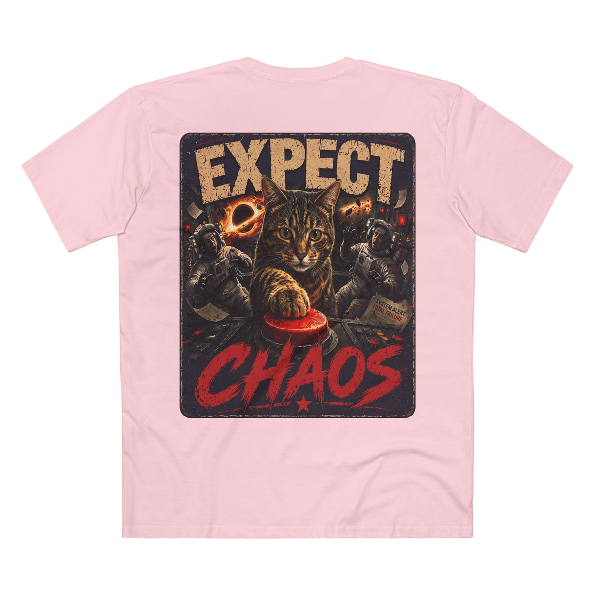 Expect Chaos — Women's Premium Graphic Tee supplier flat shirt in Pink, back print